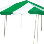 Party Patrol Green Tent